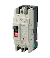 NV63-CVF 2P 60A 100-240V 30MA