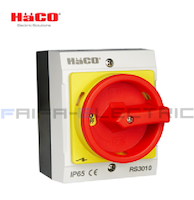 RS3010