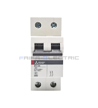 BH-D6 2P 20A N