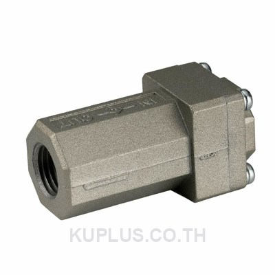 AK2000-02, Check Valve  SMC